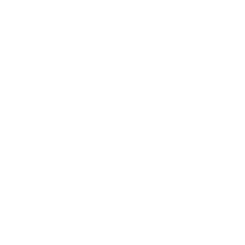 SDG 17